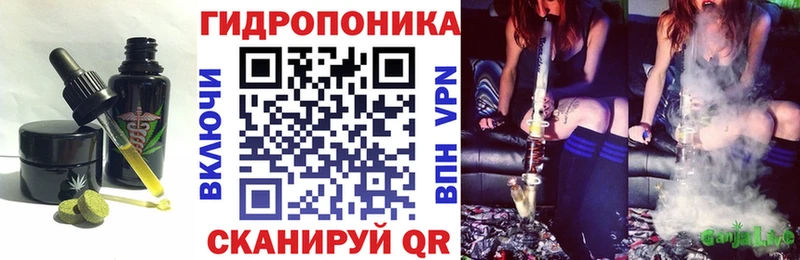 Купить закладки  Грязи  Печенье с ТГК марихуана 