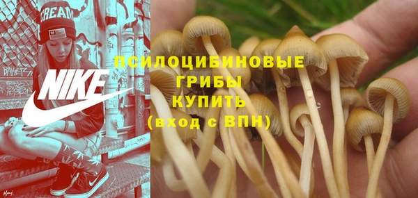 меф Алзамай